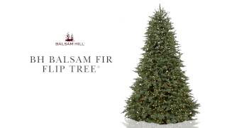 Balsam Hill™ Balsam Fir  Easy Plug Technology [upl. by Melas88]