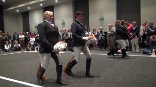 Stick Horse Dressage HIGHLIGHTS [upl. by Thalia]