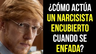 ¿Cómo expresan los NARCISISTAS ENCUBIERTOS la IRA NARCISISTA [upl. by Zoie]