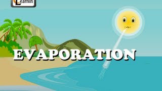 Evaporation  Elementary Science [upl. by Anaic]