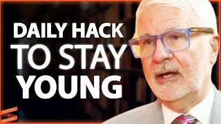 The DAILY HACKS To End Inflammation amp Increase Your LIFESPAN  Dr Steven Gundry [upl. by Kolodgie]