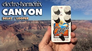 ElectroHarmonix Canyon Delay  Looper Pedal Demo by Bill Ruppert [upl. by Rickart]