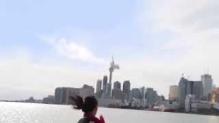 Meteor hits CN Tower Toronto [upl. by Yrtua]