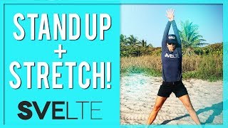 Standing Stretch Routine  Quick Stretching Exercises At Home [upl. by Prior]