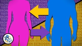 Hormones and Gender Transition [upl. by Nylinnej]