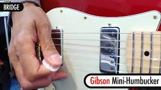 Gibson Firebird vs Gibson MiniHumbucker [upl. by Montagu]