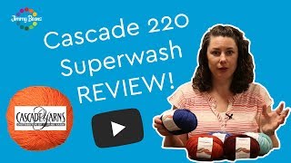 Cascade 220 Superwash Yarn Review [upl. by Doersten]