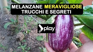 MELANZANE MERAVIGLIOSE TRUCCHI E SEGRETI [upl. by Questa]