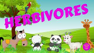 Herbivores  Types of Animals  Science for Kids [upl. by Truda]