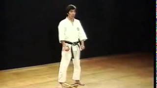 Heian Shodan  Shotokan SKIF  Hirokazu Kanazawa [upl. by Pas]