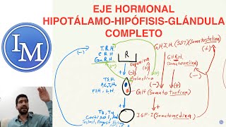 Fisiología Shahroj  Endocrinología  Eje Hipotálamo Hipófisis Glándula [upl. by Lletnohs]