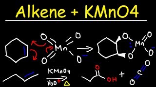 Alkene  KMnO4 Reaction [upl. by Oswin]