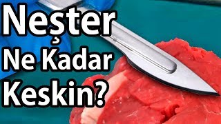 NEŞTER NE KADAR KESKİN [upl. by Krakow539]