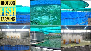 Biofloc Tank Aeration Air Pump System  Biofloc Fish Farming Technology [upl. by Enecnarf224]