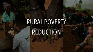 FAO Policy Series Rural Poverty Reduction [upl. by Thar]