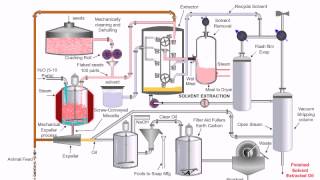 Chemical CPT vegetable oil extraction method [upl. by Publea750]