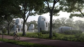 Eindhoven to build quotworld’s firstquot 3Dprinted houses that people can live inside [upl. by Lobell]