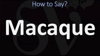 How to Pronounce Macaque CORRECTLY [upl. by Cinnamon]