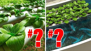 Hydroponics VS Aquaponics Heres Which Ones REALLY Better [upl. by Erinna]