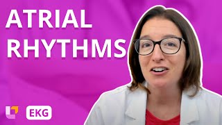 Atrial Rhythms  EKG Interpretation  LevelUpRN [upl. by Sera86]