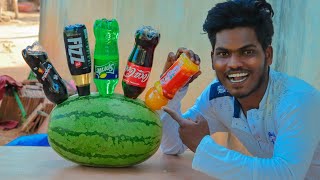 All Types Of Cool drinks In To Watermelon  Crazy Taste  MrSuncity Vlog [upl. by Bruyn]