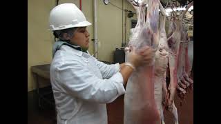 Postmortem Inspection of Goat Carcass [upl. by Mozes719]