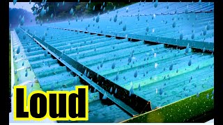 Loud Rain on Metal Tin Roof  10 Hours Rain Sounds For Sleeping [upl. by Any501]