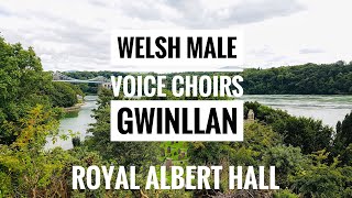 Best Welsh Anthem at the Royal Albert Hall  Gwinllan A Roddwyd I’m Gofal stirring with passion [upl. by Jo-Anne]