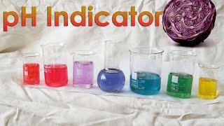 Make your OWN pH Indicator from Red Cabbage [upl. by Teri]