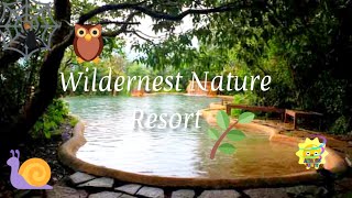 WILDERNEST NATURE RESORT GOA  ECO RESORTS IN GOA  WILDERNEST RESORT TOUR PART 2 [upl. by Eisse]