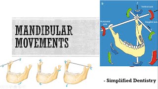 Mandibular Movements [upl. by Idonah563]