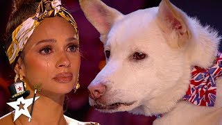 Judges Cry Over Emotional Dog Magic Act on Britains Got Talent 2020  Magicians Got Talent [upl. by Clellan]