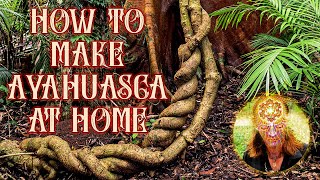 How to Make Ayahuasca Super Easy [upl. by Wilow]