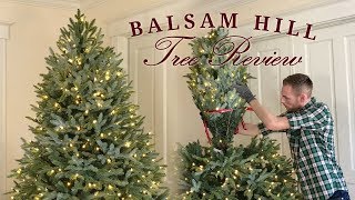 Balsam Hill Tree Review  Fraser Fir  Realistic Artificial Christmas Trees [upl. by Boar]