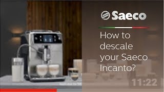 How to descale your Saeco Incanto [upl. by Notreb917]