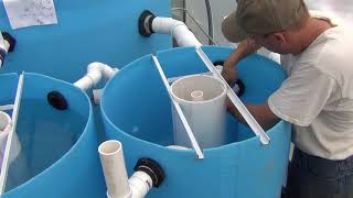 Big Aquaponic Greenhouse  Part 14  Mineralisation Tank [upl. by Mcnamee]