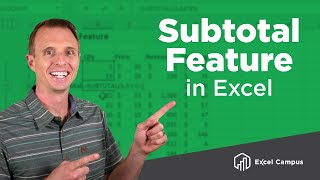 How To Use The Subtotal Feature And Subtotal Function In Excel [upl. by Eytak604]