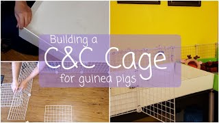 How to Build CampC Cage for Guinea Pigs  DIY Tutorial [upl. by Fiorenze]