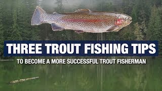 3 Advanced Trout Fishing Tips and Tricks  Become A Better Trout Fisherman [upl. by Aleen]