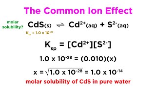 The Common Ion Effect [upl. by Ecnal550]