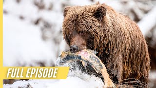 Wild Canada  The Wild West  Full Episode [upl. by Fortune]