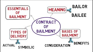 Contract of Bailment Law of Contracts common law system [upl. by Yelyr619]