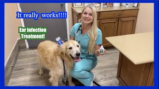 It really Works  Zymox Before and After EAR INFECTION Treatment [upl. by Ashla]