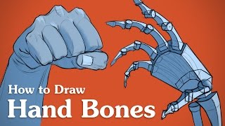 How to Draw Hand Bones  Drawing Anatomy for Artists [upl. by Schaefer]