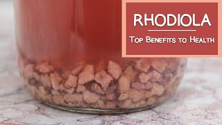 What is Rhodiola Top Health Benefits [upl. by Kipper]