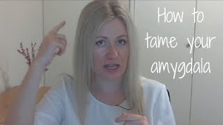 How to tame your amygdala [upl. by Bekelja]