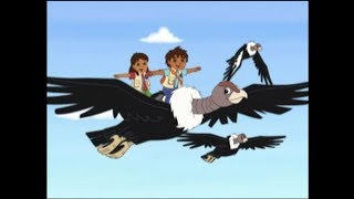 Go Diego Go  Three Little Condors [upl. by Amandy869]