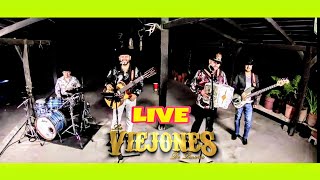 Los Viejones de Linares En Vivo [upl. by Adelle]