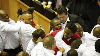 Fighting Breaks Out in South Africas Parliament [upl. by Hacceber39]