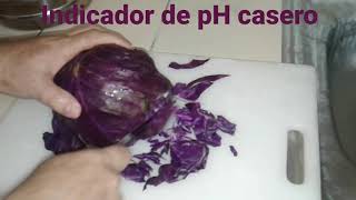 Indicador de pH caseroRepollo morado [upl. by Theran]